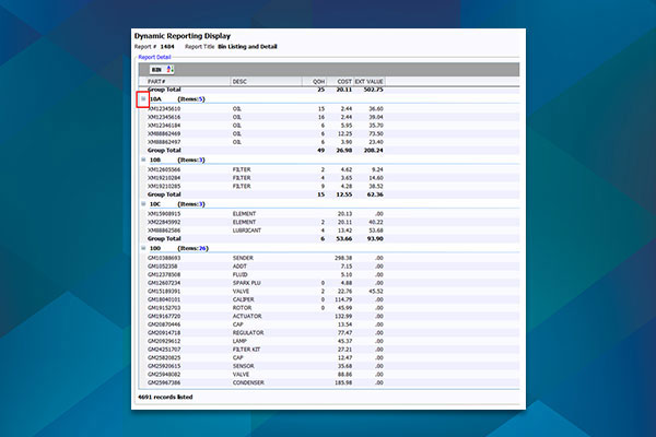 Dynamic Reporting Display screenshot