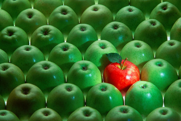 Red apple in sea of green apples